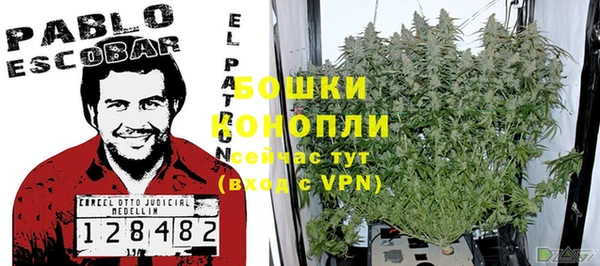 сатива Приозерск