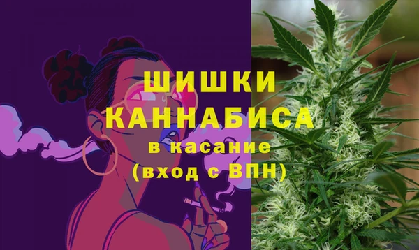 сатива Приозерск