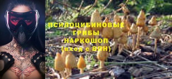крисы Протвино